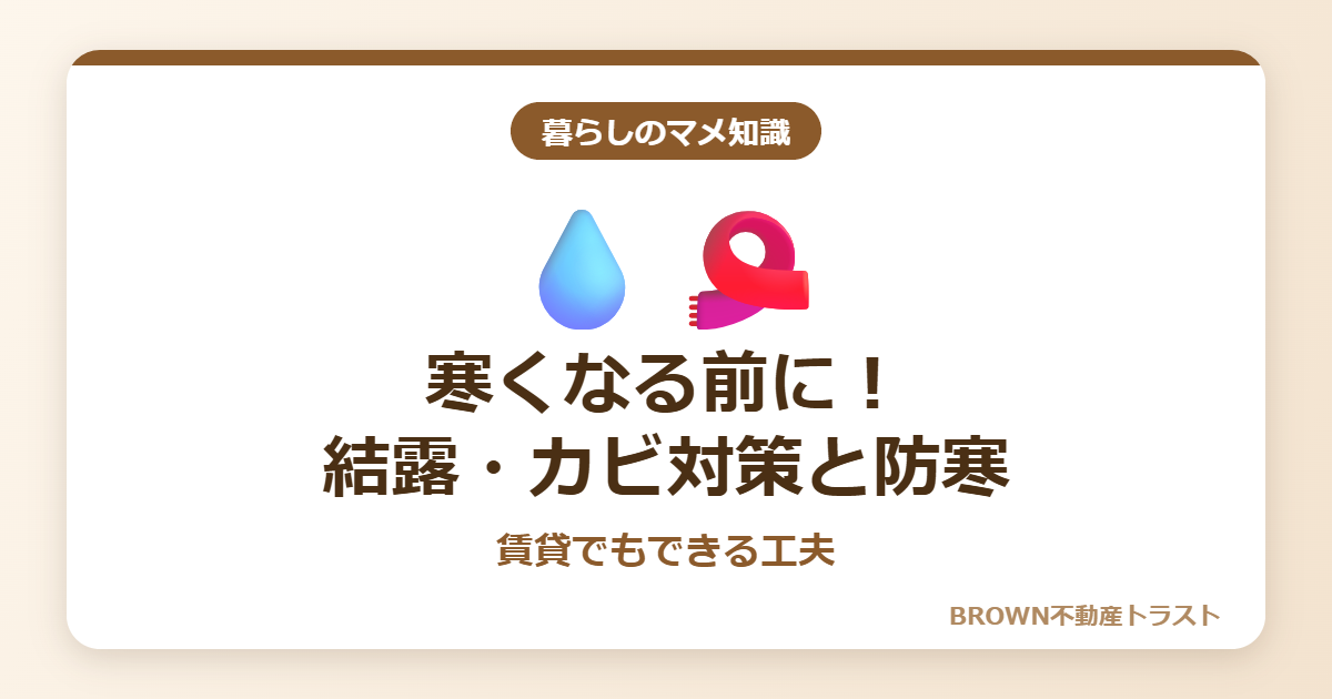 【暮らしのマメ知識】寒くなる前に！賃貸でもできる結露・カビ対策と防寒の工夫